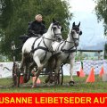 Susanne Leibetseder Obstacle Winner CAI-A Altenfelden first Place